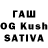 Псилоцибиновые грибы GOLDEN TEACHER Kot Keks