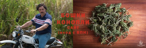 ГАЛЛЮЦИНОГЕННЫЕ ГРИБЫ Алзамай