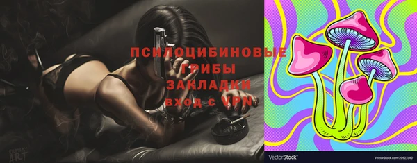ГАЛЛЮЦИНОГЕННЫЕ ГРИБЫ Алзамай