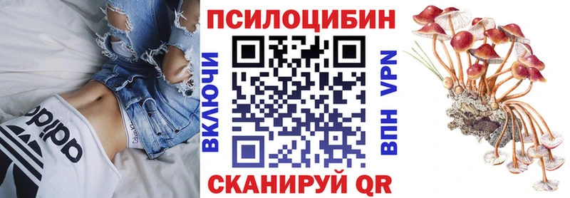 Галлюциногенные грибы Psilocybe  наркота  Нижний Тагил 