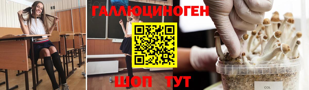Нижний Тагил  хочу   Вход с VPN  Галлюциногенные грибы Cubensis 
